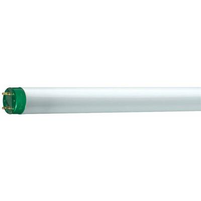 Philips Leuchtstoffröhre MASTER TL-D Eco - T8, 840 Neutralweiß - 32W (1200mm) Image