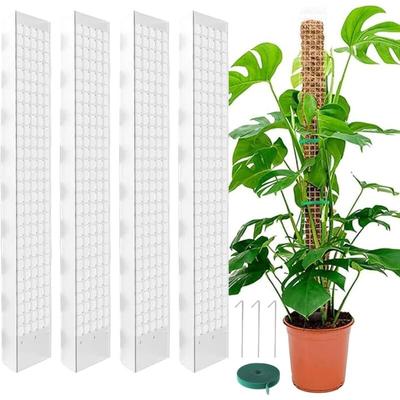 Shining House - Monstera-Pfahl, 24 Zoll, 4er-Pack Sphagnum-Pfahl, mit Klettverschluss und Nägeln, Image