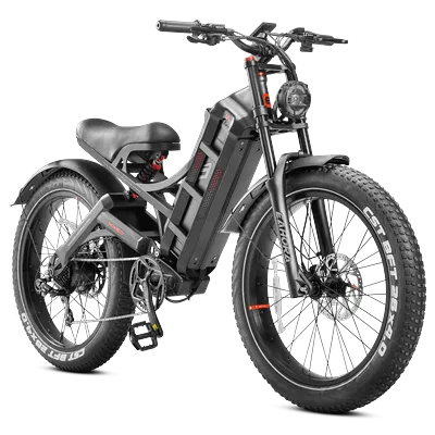 Eahora Romeo Pro Customize Motor Power Lease Ebike 2*120n-M Cargo Electric Bike 52v 60ah Long Range Electric Bicyclecustom