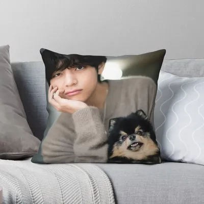 Taehyung und Yeontan Kissen bezug Polyester Leinen Samt Muster Reiß verschluss dekorative Kissen Image