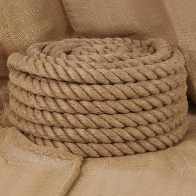 TEMU Rope 10m Long 40mm Thick Jute Image