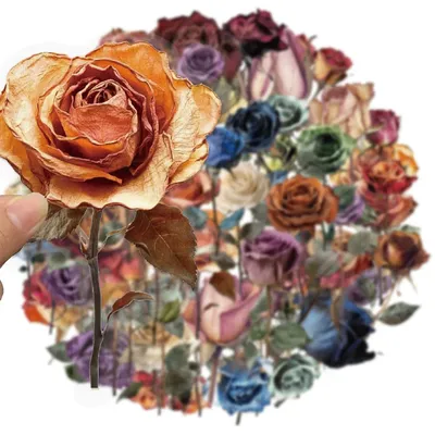 50PCS Getrocknete Rose Dekorative Graffiti Aufkleber DIY Gepäck Notebook Skateboard Motorrad PET Image