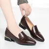 Mutter Schuhe Frühling Und Herbst Damen Leder Schuhe Dicke Absätze Arbeit Damen Schuhe Bequeme