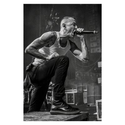 TEMU 1pc ,chester Bennington(2) Poster Art Gifts, Bedroom, Office, Living Room, Wall Decor, Home And Dorm Decor, 12x18 Inches Image