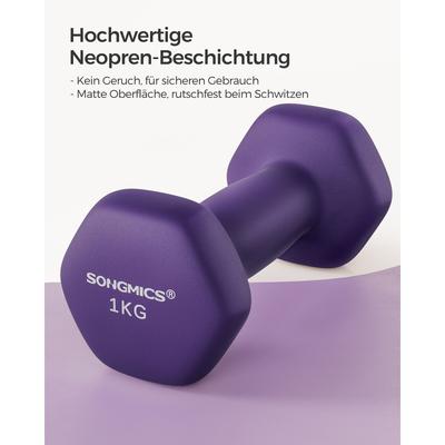TEMU Set Of 2 Dumbbells Hexagonal Dumbbells Pair Home Workout Fitness Training Exercise Image