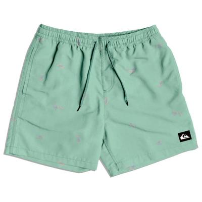 Quiksilver - Surfsilk Straight Volley 16 - Boardshorts Gr XXL türkis/grün Image
