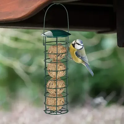 Card image cap