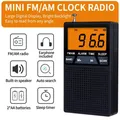 Mini ricevitore radio AM/FM multibanda portatile Radio stereo Orologio Sveglia Altoparlante Radio Display LCD funzione sonno Radio dual band