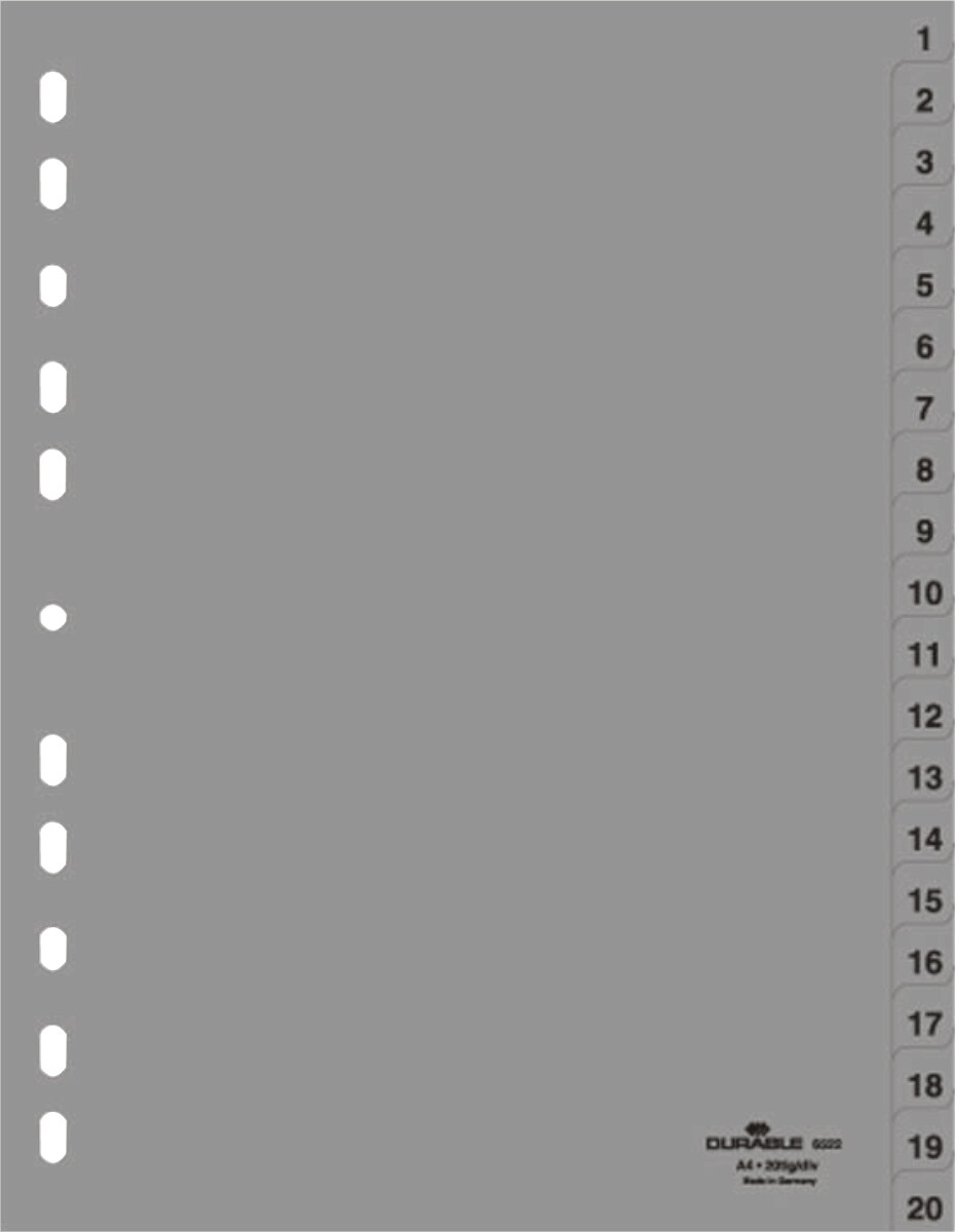 Durable Register A4 1-20 PP grau Packung mit 20 Stück Image