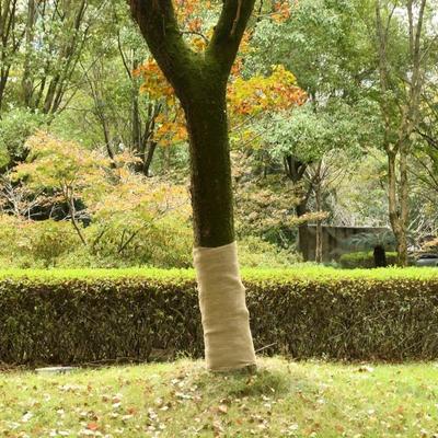TEMU Jute Fabric 1x5 M 100% Jute 200 G/ M² Image