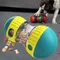 Haustier Hund Rollen Undichte Lebensmittel Ball Lebensmittel Grade Material Slow Food Training Slow Food Hund Spielzeug Hund Schüssel Pet Liefert Hund