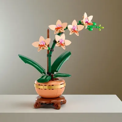 Elegante Orchidee Büro Dekoration Blumen Kinder Erwachsene ewige Blumenstrauß Montage kreative Image
