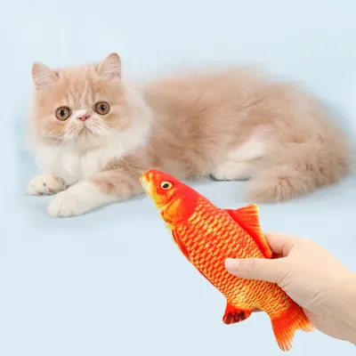 More+Pet+Supplies
