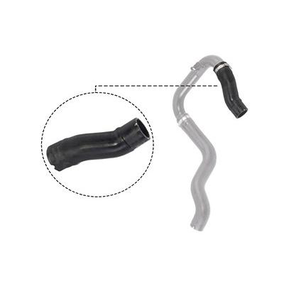 Vaico Ladeluftschlauch [Hersteller-Nr. V24-0732] für Fiat Image