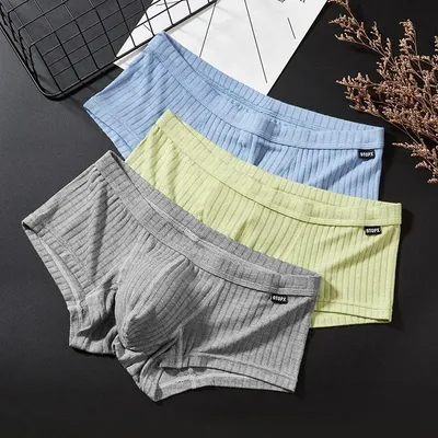 Männer Einfarbig Gestreiften Badehose Unterhose U-konvexen Beutel Niedrige Taille Atmungsaktive Image