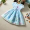 2025 Nuove ragazze estive Abito da principessa Abbigliamento per bambini per bambini Frozen Elsa