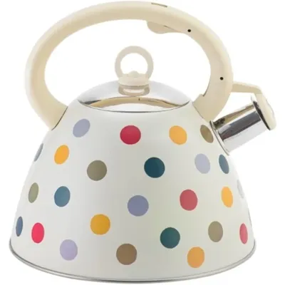 Kettle Stovetop Stainless Steel pot Kettle for Stovetop Teakettle Vintage Tea Pot Whistling Tea