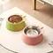 A pet bowl pet stainless steel feeding bowl cat bowl feeding bowl bottom non-slip design cartoon bow style dog bowl pet bowl