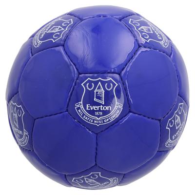 Everton Core Mersey Blue Ball – Größe 5 Image