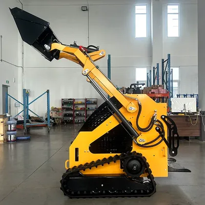 Customized Ce Epa Diesel Home Garden Crawler 360 460 International Mini Small Skid Steer Loader