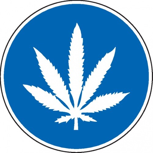 Dreifke® Gebotsschild Cannabiskonsum erlaubt, praxisbewährt, Folie, selbstklebend, Ø 200mm Image