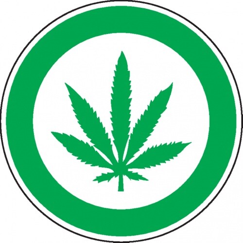 Dreifke® Hinweisschild Cannabis erlaubt, praxisbewährt, Folie, selbstklebend, Ø 200mm Image