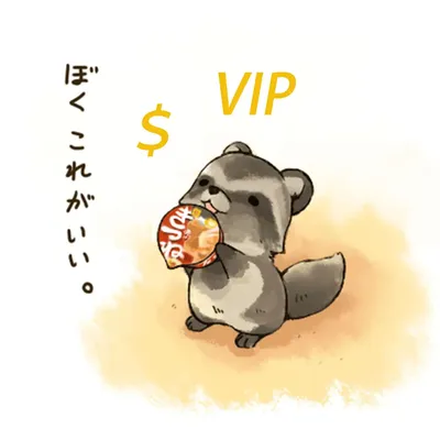 QA VIP Exclu For Followers /Extra Fee Payment Link /Logo Printing Service /Change shipping Fill