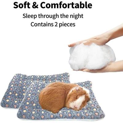 2er-Set quadratische Plüschkissen für Meerschweinchen – für Hamster – Zucker – Igel – Image