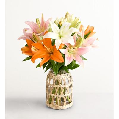 1-800-Flowers Flower Delivery Vibrant Summer Lily Single Bouquet W/ Wicker Vase