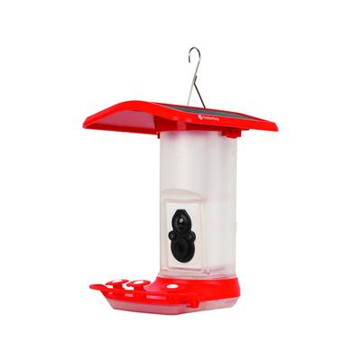 FeatherSnap Hummingbird Gen 1 Camera Black FSHB001