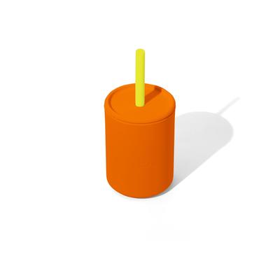 5 oz Small Sippy Cup and Straw Silicone
