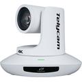 Telycam Vision+ SE HDMI Wh