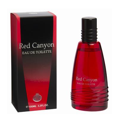 TEMU Real Time Man's Perfume 100ml Image