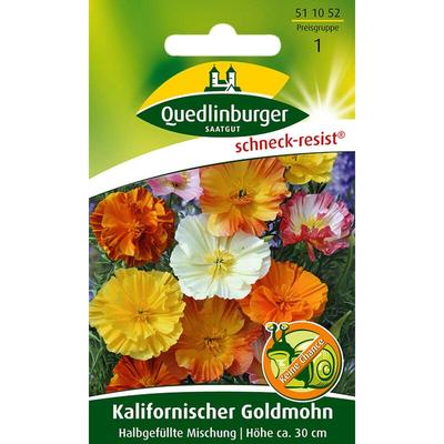 Quedlinburger Saatgut - Quedlinburger Kalifornischer Goldmohn Halbgefüllte Mischung - Blumensamen Image