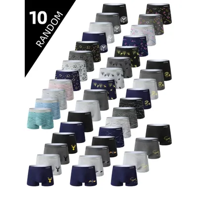 10 Pieces Set Men's Underwear Breathable Comfortable Healthy Men's Boxer Briefs Trendy Random Style Image