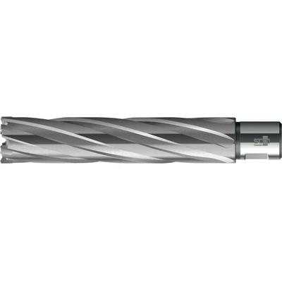 FP - bds HM-Kernbohrer Schnitttiefe 110mm ø 24 mm , hke-l 024 Image