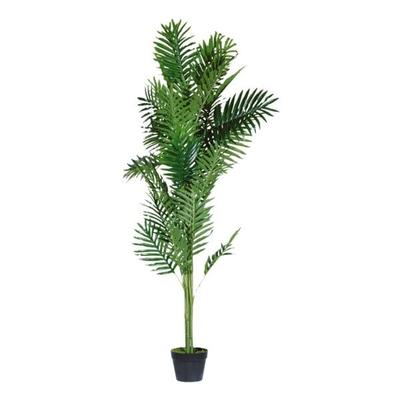 meet Kunstpflanze »Palme« 160 cm, 160 cm Image