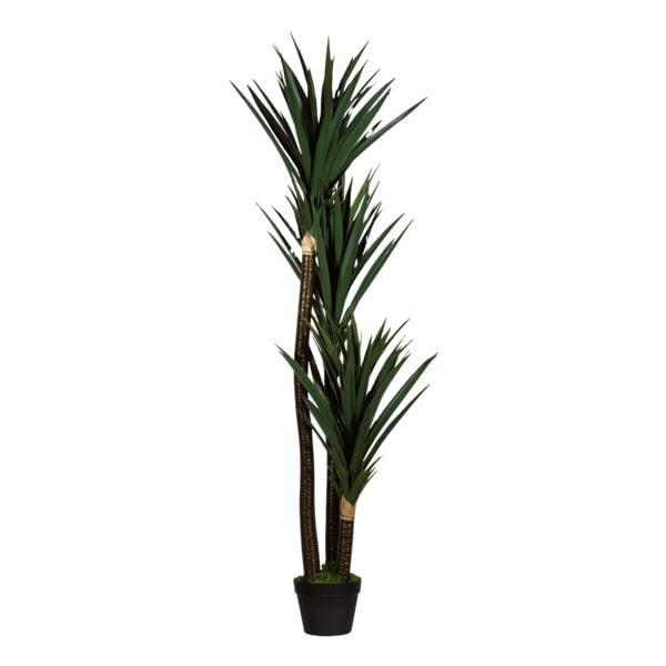 meet Kunstpflanze »Yucca« 150 cm, 150 cm Image