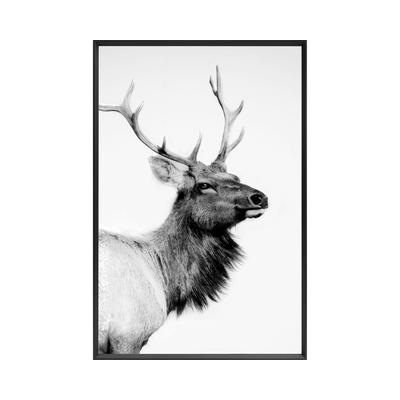 La Casa »Deer black and white« Wandbild I 60x90 cm Image