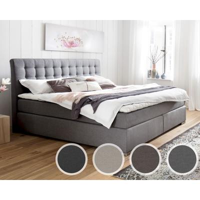 meise.möbel »Lenno« Boxspringbett – erhältlich in Größen von 140x200 bis 200x200 cm Image
