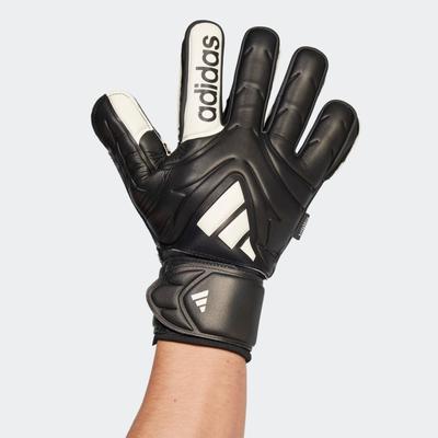 Torwarthandschuhe ADIDAS PERFORMANCE "COPA GL MTC FS", Herren, Gr. 8, schwarz-weiß (schwarz, weiß), Obermaterial: 100% Polyester, sportlich, Handschuhe