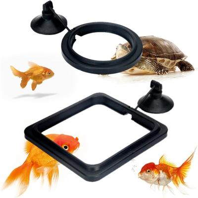 Fisch-Futterring, Aquarium-Fisch-Futterring, Aquarium-Futterring, Aquarium-Fisch-Futterringe, Image