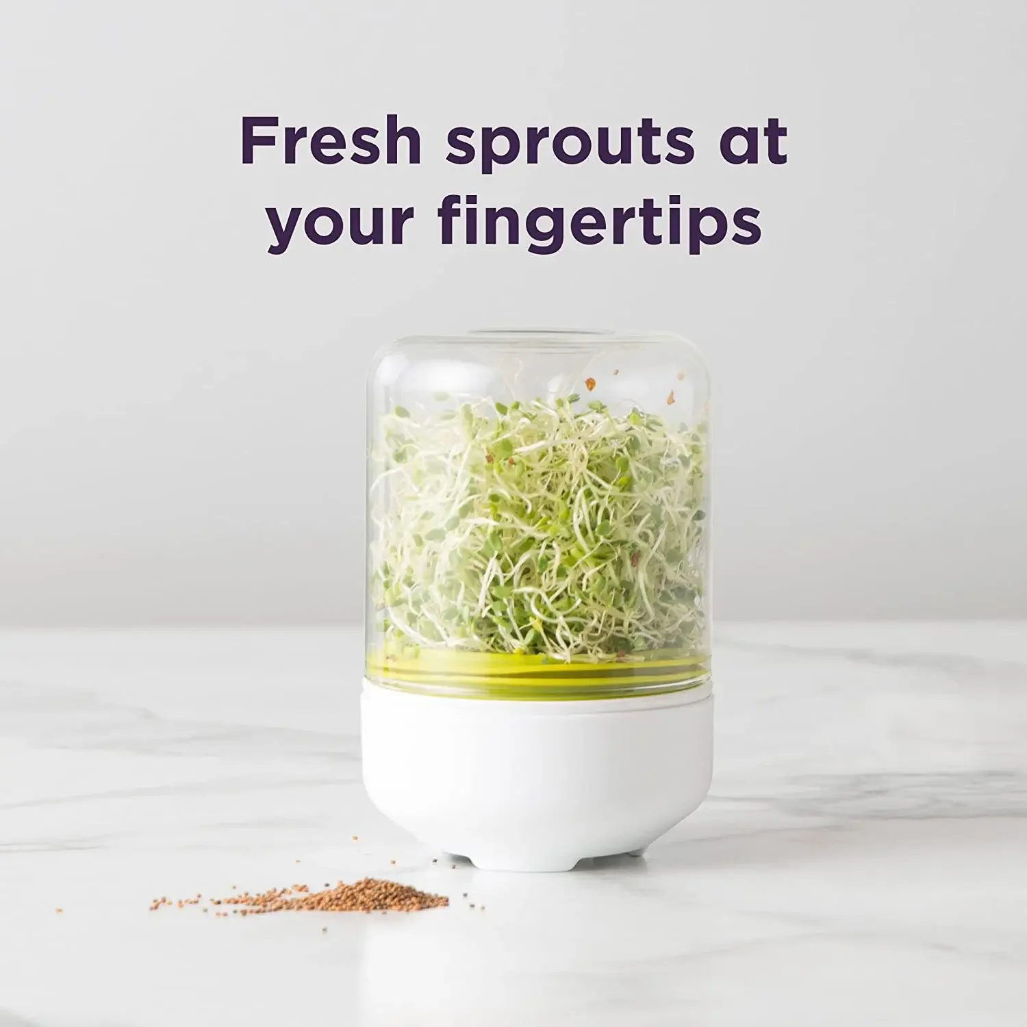 Samen Sprouter Keimung Wachsen Kit Hausgemachte Sprießen Topf Gläser Anlage Keimung Werkzeug Sprießen Abdeckung Samen Ernte 1pc Neue Image