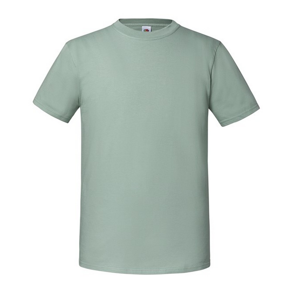 Fruit Of The Loom Herren Premium T-Shirt (Salbei) Image