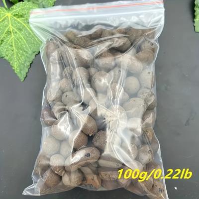 TEMU Hydroponic Clay Pebbles 100g - Lightweight & Expanded Clay For Aquariums, Succulents, Bonsai & Orchid - Gardening & Decor Utility Image