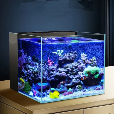 40cm 50cm 60cm 20 Gallons 6mm Rimless Glass Desktop Marine Reef Aquarium Tank with Filtration System