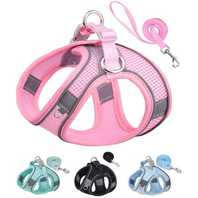 Dog Harness for Small Medium Dogs No Pull Puppy Harness and Leash Set Puppy Harness for Small Dogs Step in Harness for Small Dogs Small Dog Harness mesh Dog Harness.
