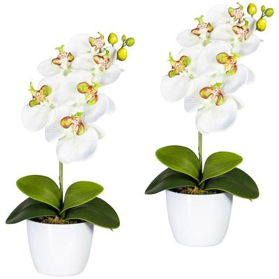 Kunstpflanze CREATIV GREEN "Orchidee Phalaenopsis", grün (weiß, grün), H:40cm, Polyester, Kunststoff, Kunstpflanzen, im Keramiktopf