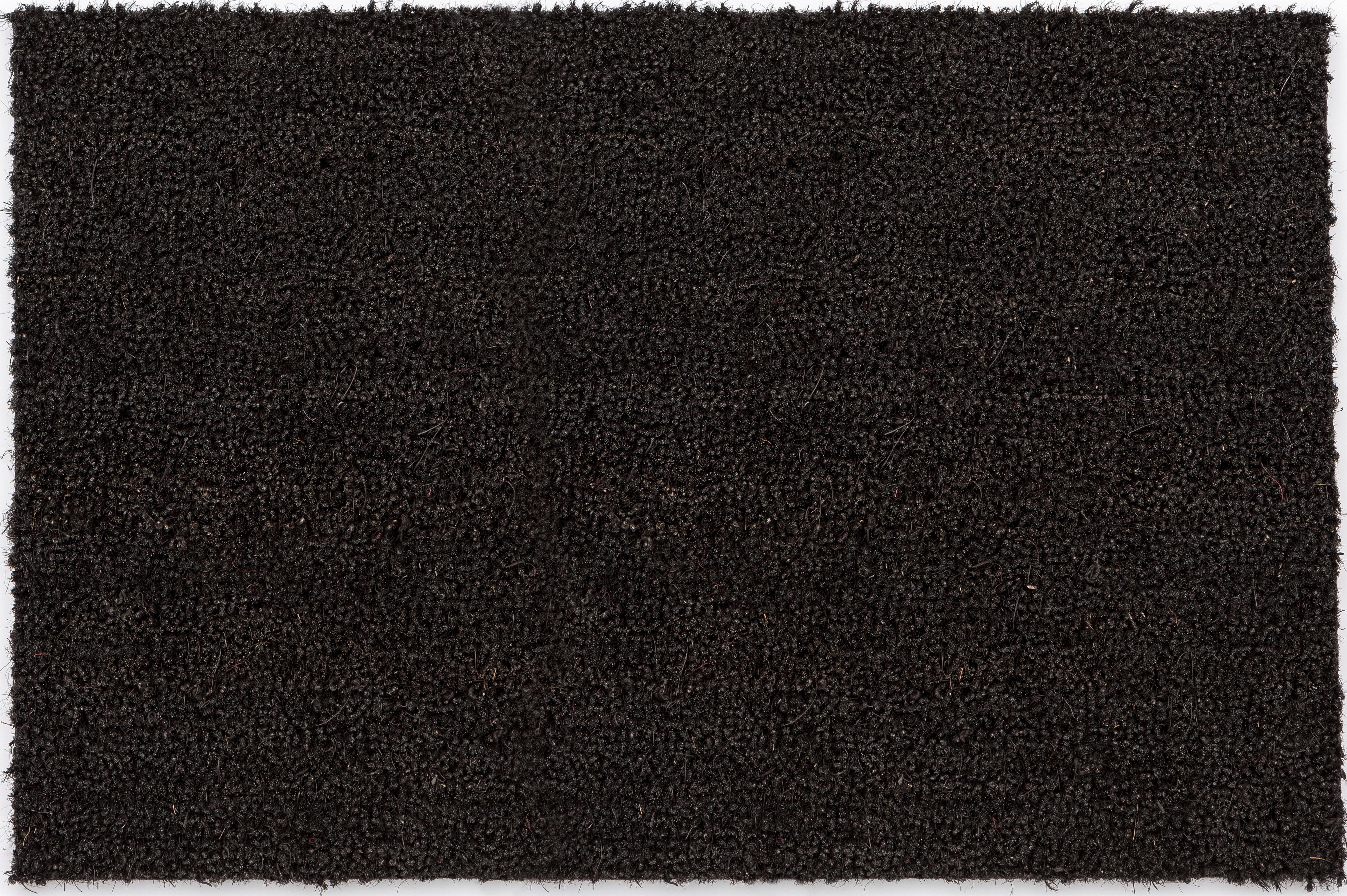 Fußmatte ASTRA "Kokosvelours 106" Gr. 16, schwarz, B:50cm H:16mm L:80cm, Kokos, Teppiche, Schmutzfangmatte, Kokosmatte, In -und Outdoor geeignet Image
