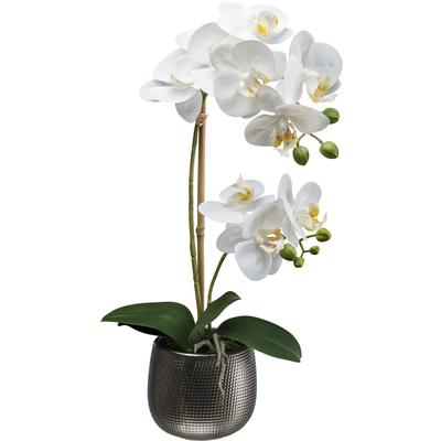 Kunstorchidee CREATIV GREEN "Orchidee Phalaenopsis", weiß, H:48cm, Kunststoff, Kunstpflanzen, mit real-touch-Blüten
